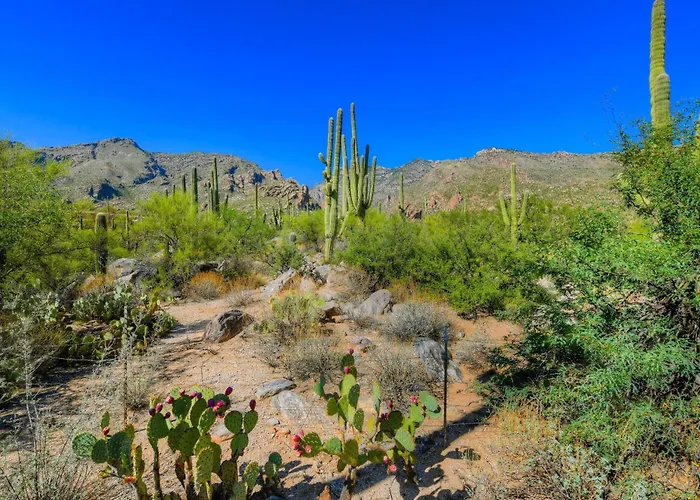 Ventana Canyon Retreat * Tucson