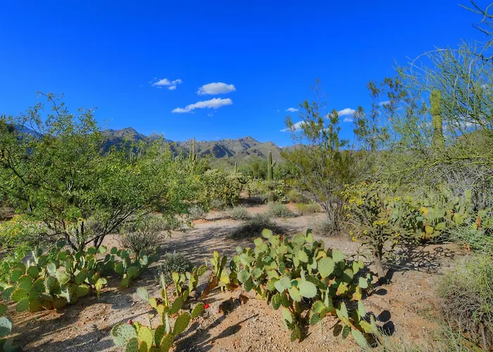 Holiday home Ventana Canyon Retreat *
