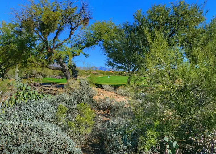 Ventana Canyon Retreat Holiday home Tucson